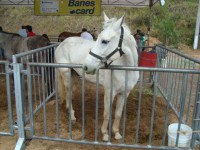 /album/galeria-de-fotos/dsc01617-jpg/