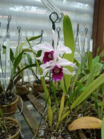 /album/galeria-de-fotos/a011-jpg/