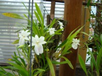 /album/galeria-de-fotos/a012-jpg/