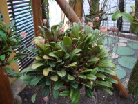 /album/galeria-de-fotos/a013-jpg/