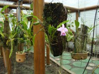 /album/galeria-de-fotos/a009-jpg/