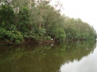 /album/galeria-de-fotos/a043-jpg/