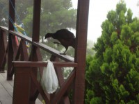 /album/galeria-de-fotos/a030-jpg/