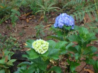 /album/galeria-de-fotos/a044-jpg/