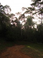 /album/galeria-de-fotos/a097-jpg/