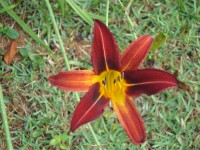 /album/galeria-de-fotos/a095-jpg/