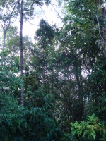 /album/galeria-de-fotos/a090-jpg/