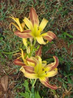 /album/galeria-de-fotos/a093-jpg/