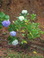 /album/galeria-de-fotos/a032-jpg/