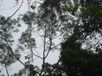 /album/galeria-de-fotos/a072-jpg/