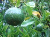 /album/galeria-de-fotos/a080-jpg/