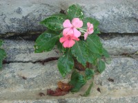 /album/galeria-de-fotos/a084-jpg/