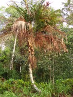 /album/galeria-de-fotos/a096-jpg/