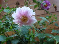 /album/galeria-de-fotos/a070-jpg/