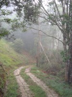 /album/galeria-de-fotos/a033-jpg/